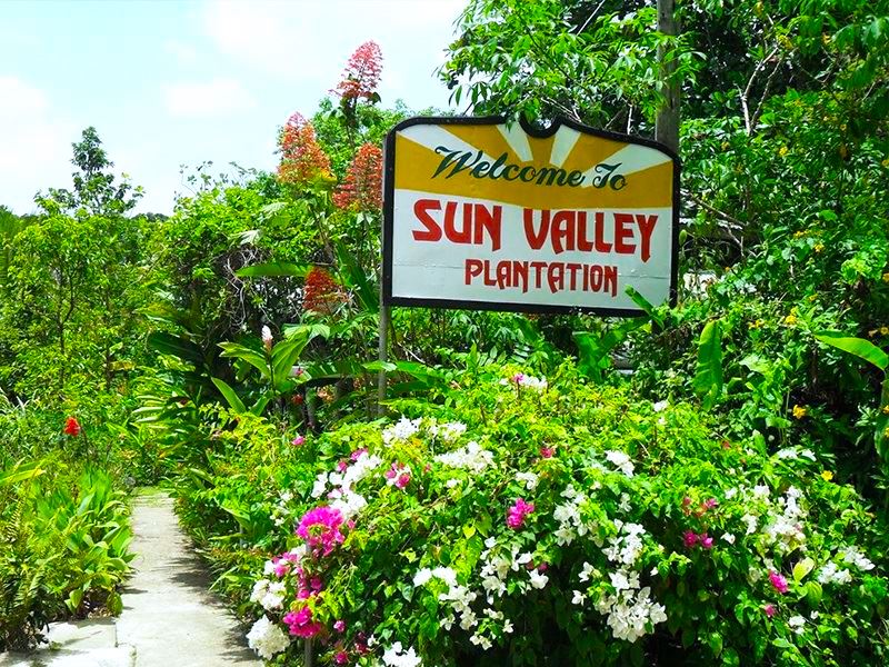 Sun Valley Plantage