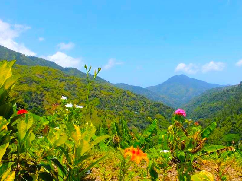 Blue Mountains Jamaika